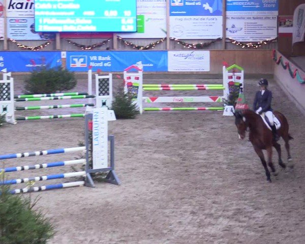 Reitturnier Leck 2024