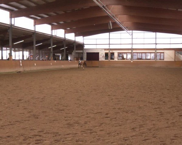 Reitturnier Appelhülsen 2024