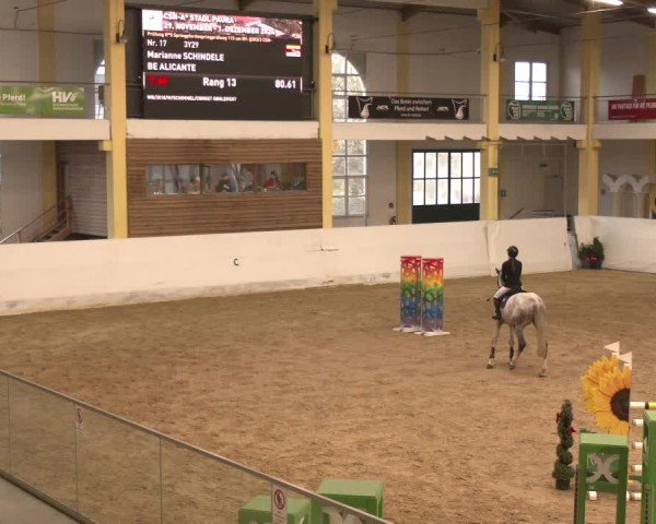 Reitturnier Stadl-Paura 2024