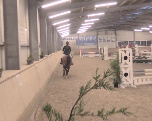 Reitturnier Ahaus 2021