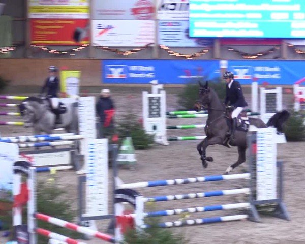 Reitturnier Leck 2024