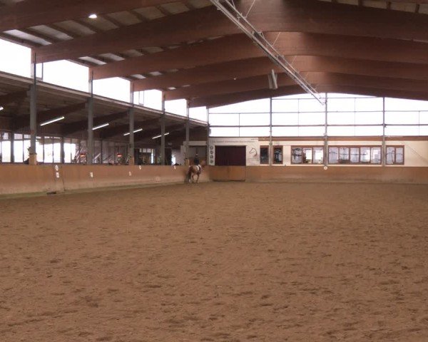 Reitturnier Appelhülsen 2024