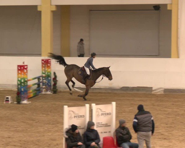 Reitturnier Stadl-Paura 2024