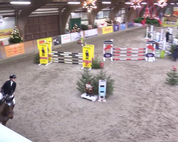 Reitturnier Leck 2024
