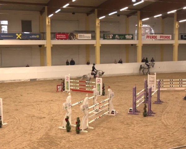 Reitturnier Stadl-Paura 2024