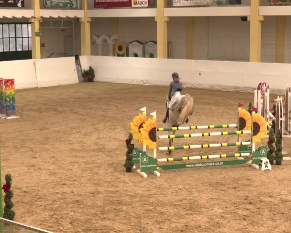 Reitturnier Stadl-Paura 2024