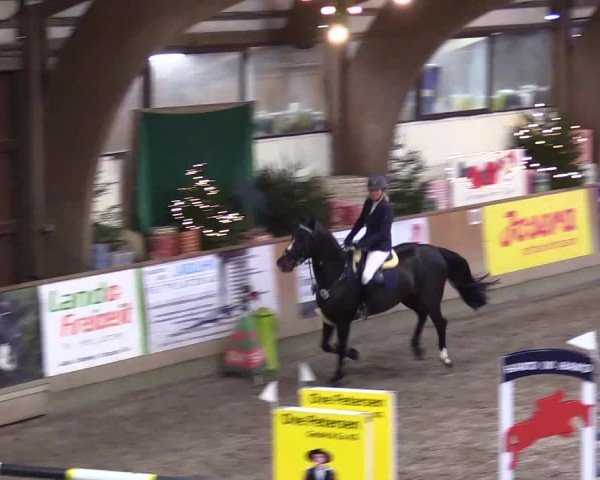 Reitturnier Leck 2024