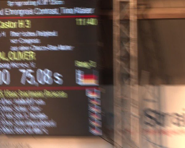Reitturnier Essen-Stadtwald 2024