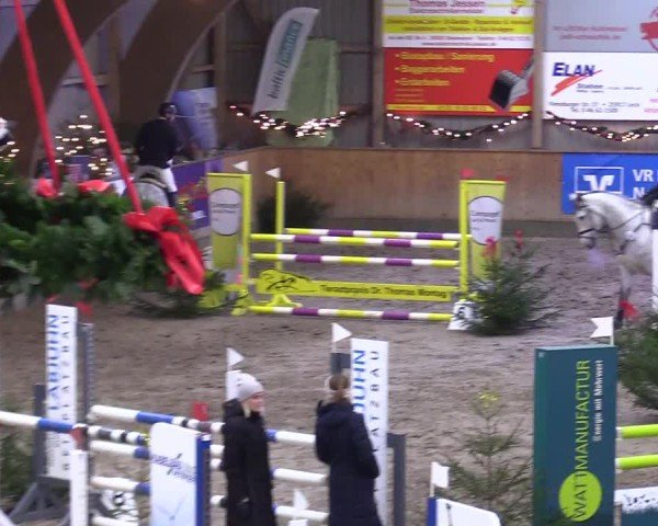 Reitturnier Leck 2024