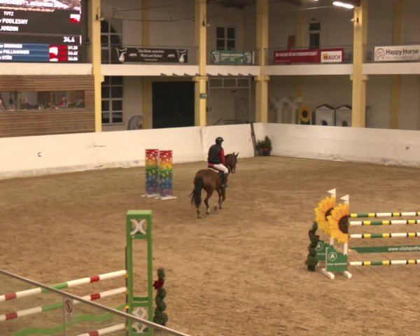 Reitturnier Stadl-Paura 2024