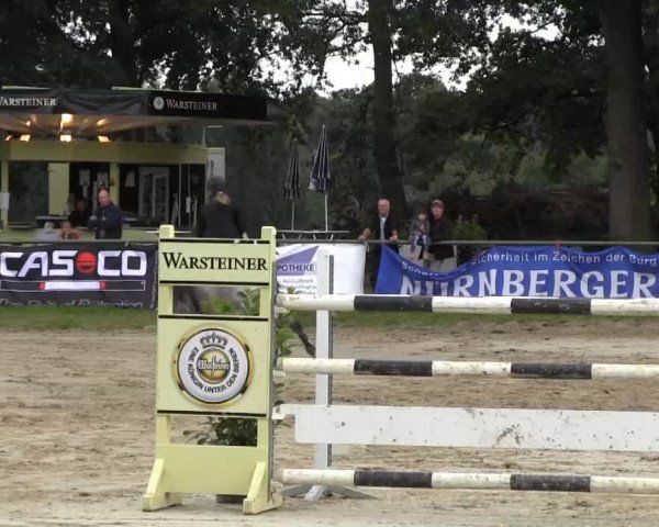 Datteln 2013
