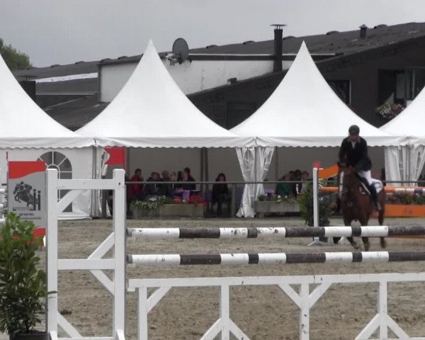 Reitturnier Appelhülsen 2015