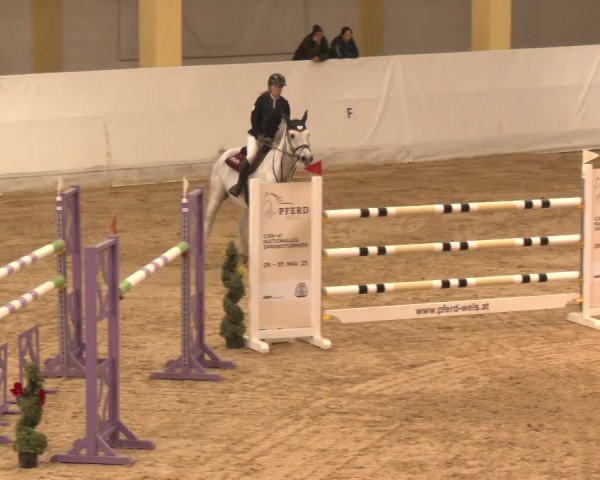 Reitturnier Stadl-Paura 2024