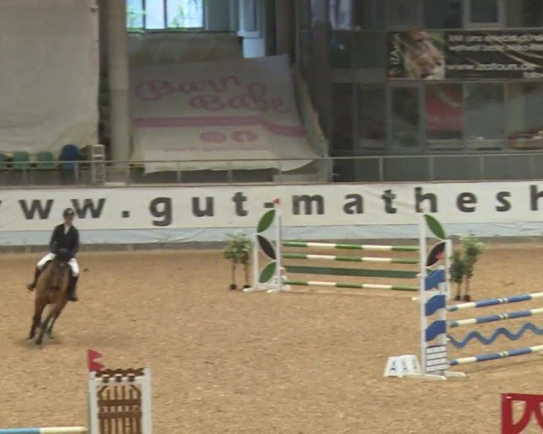 Reitturnier Kreuth/Opf. 2024