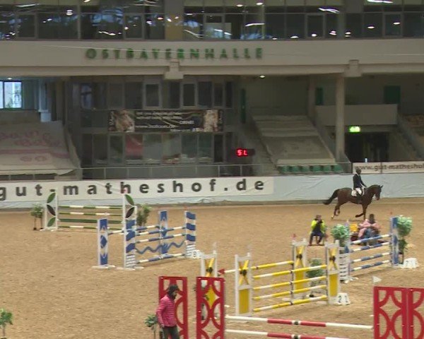 Reitturnier Kreuth/Opf. 2024