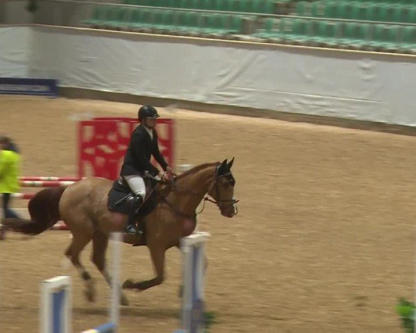 Reitturnier Kreuth/Opf. 2024