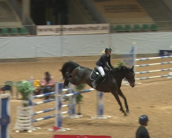 Reitturnier Kreuth/Opf. 2024
