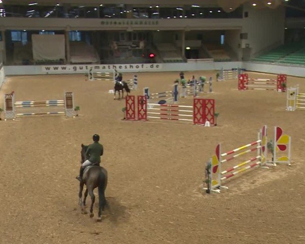 Reitturnier Kreuth/Opf. 2024