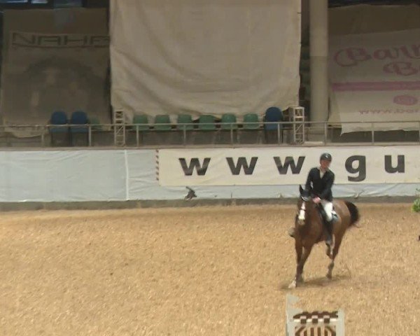 Reitturnier Kreuth/Opf. 2024