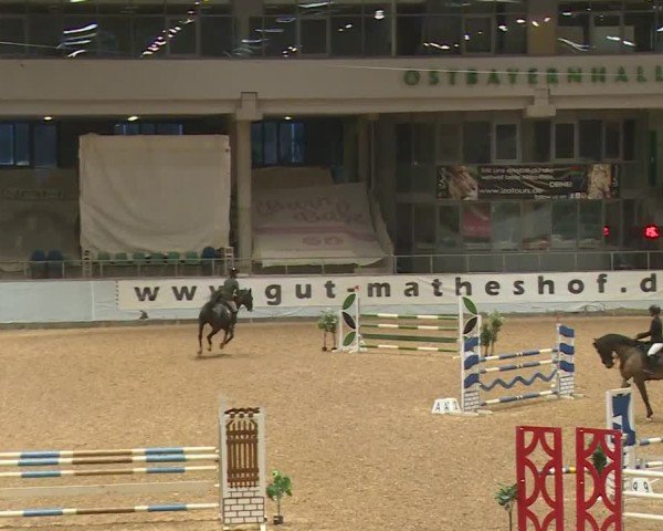 Reitturnier Kreuth/Opf. 2024