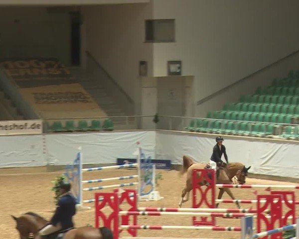 Reitturnier Kreuth/Opf. 2024
