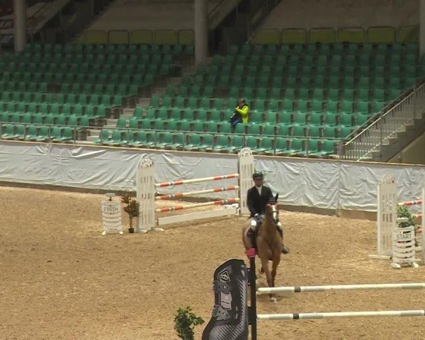 Reitturnier Kreuth/Opf. 2024