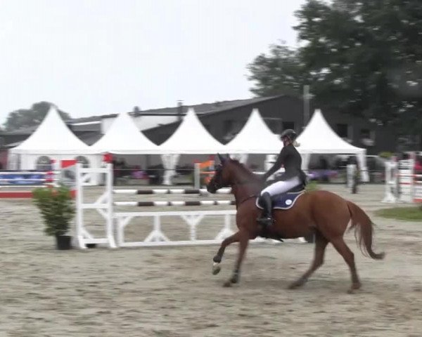 Datteln 2013