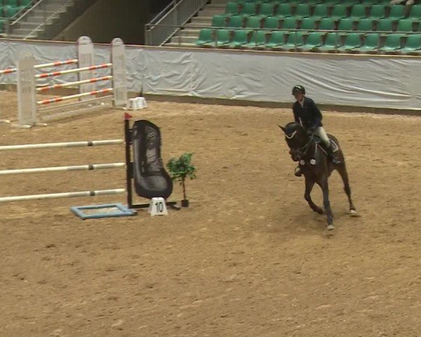 Reitturnier Kreuth/Opf. 2024