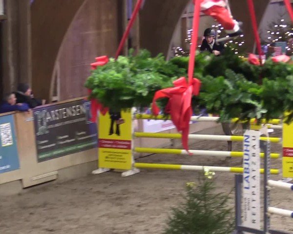 Reitturnier Leck 2024