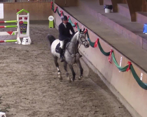 Reitturnier Leck 2024