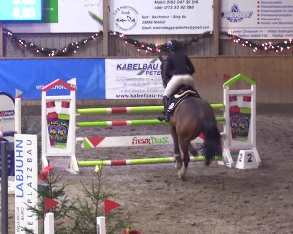 Reitturnier Leck 2024