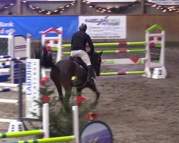 Reitturnier Leck 2024