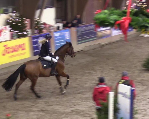 Reitturnier Leck 2024