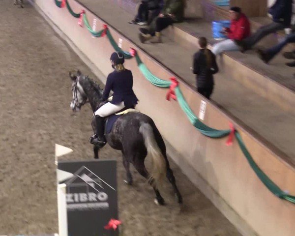 Reitturnier Leck 2024