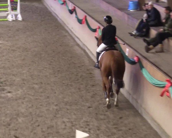 Reitturnier Leck 2024