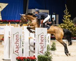 jumper Leni S (German Sport Horse, 2012, from Los Angeles)