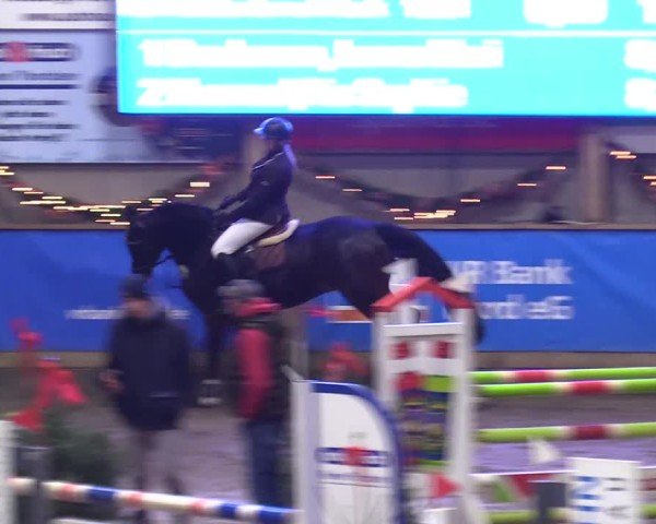 Reitturnier Leck 2024