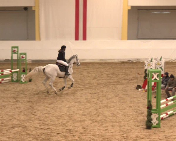 Reitturnier Stadl-Paura 2024