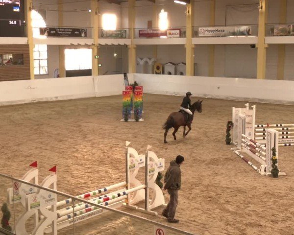 Reitturnier Stadl-Paura 2024