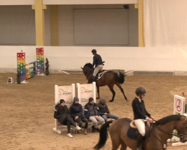 Reitturnier Stadl-Paura 2024