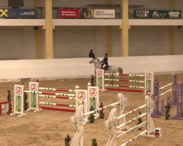 Reitturnier Stadl-Paura 2024