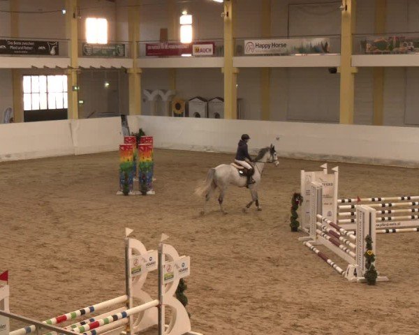 Reitturnier Stadl-Paura 2024