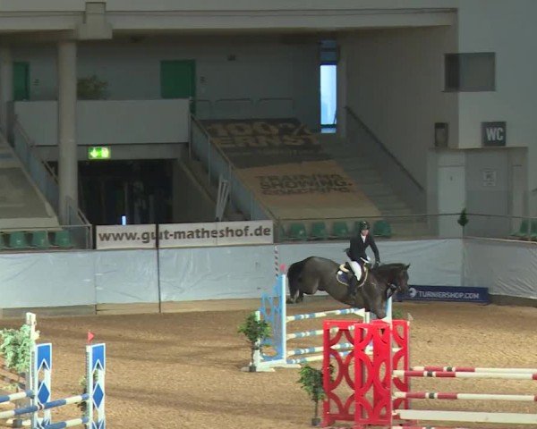 Reitturnier Kreuth/Opf. 2024