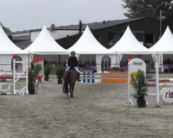 Datteln 2013