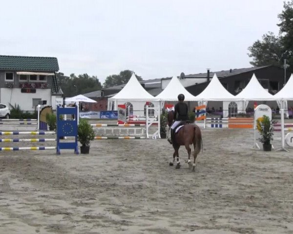 Datteln 2013