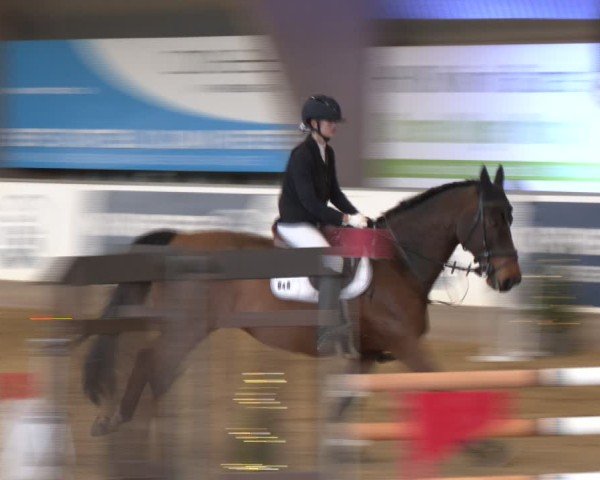 Reitturnier Essen-Stadtwald 2024