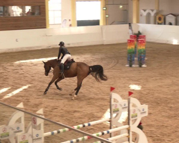 Reitturnier Stadl-Paura 2024