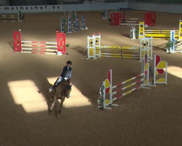 Reitturnier Kreuth/Opf. 2024