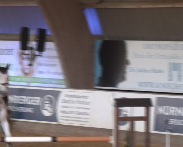 Reitturnier Essen-Stadtwald 2024