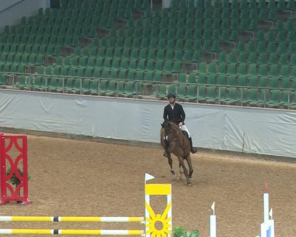 Reitturnier Kreuth/Opf. 2024
